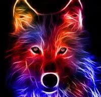 Avatar of Joachim B Nilsen