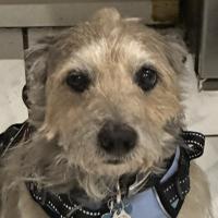 Avatar of joebrofrooo