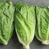 Avatar of Giankarlo Hao