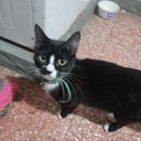 Avatar of jonás nievas