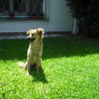 Avatar of Graciela Villarreal