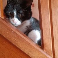 Avatar of josphine66