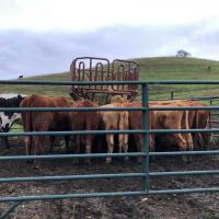 Avatar of John Peterson