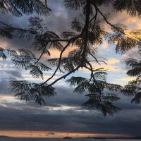 Avatar of Joseph Whitaker