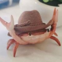 Avatar of juanarias8