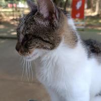 Avatar of JuanDWaked