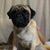 Avatar of Juichi-kun