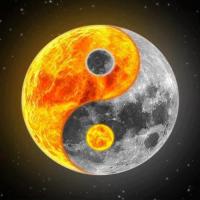 Jutta Borek's avatar