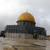 Avatar of Jumah Alshagrah