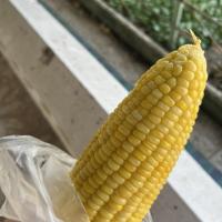 Avatar of Justalltime