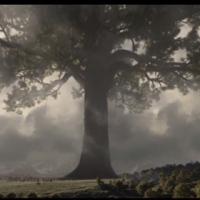 Avatar of Enjoy The Game