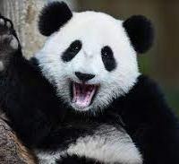 Avatar of justinuuan