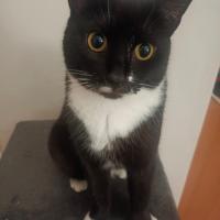 Avatar of Borys Tofil