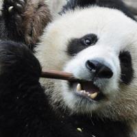 Avatar of Kacper Kacprzak