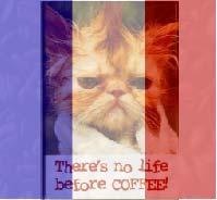 Avatar of Martin Kapp