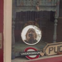 Avatar of Kain McBarron