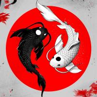 Avatar of KaiZenary_17