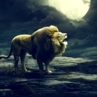 anushurvan graf's avatar