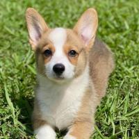 Avatar of Kali Roberts