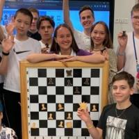 Kamaliya Bulatova's avatar