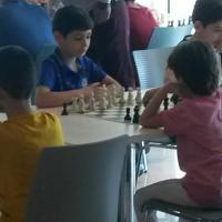 Avatar of Nurlan Şükürlü