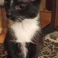 Avatar of Karolina2013