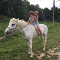 Simon Gravel's avatar