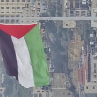 kasparove2025's avatar