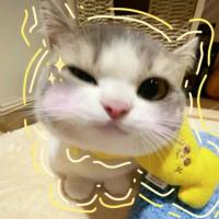 Katarzyna Rusiecki's avatar