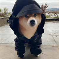 Avatar of Andrew Lai