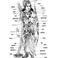 Avatar of Kautilya12367