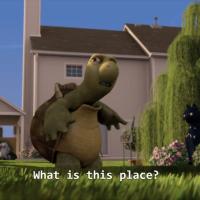 Avatar of Kavindu Madhushan