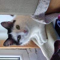 Avatar of kazil-inactive