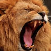 Avatar of Štěpán Hrbek