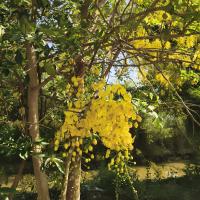 Avatar of keerthi2016