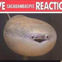 Avatar of KejuKeju123