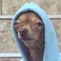 Avatar of Miguel Ángel Soto González