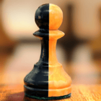 Avatar of Tran Khanh Phuong Vo, 11 years old