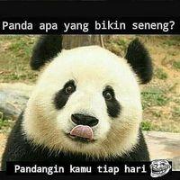 Avatar of KenzieGanteng