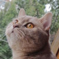 Avatar of KFRDARLING