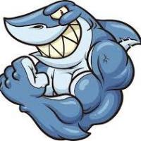 Avatar of Olzhas Khamzin