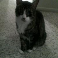 Avatar of Jeff Valentine