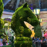 Andrew Flores's avatar