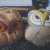 Avatar of michael cole