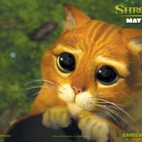 Avatar of https://bit.ly/38OZoI9 https://www.pamietnikgieldowy.pl/