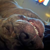 Avatar of Yahweh Chess piece