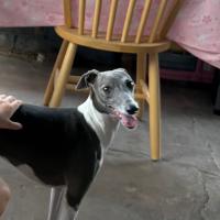 Avatar of Harold Ferman