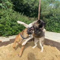 Avatar of God Himself