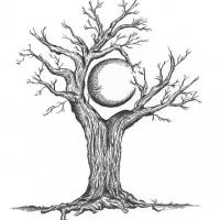 Avatar of Khaleb Goolam Hoosen