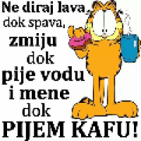 Avatar of Kire Nikoloski